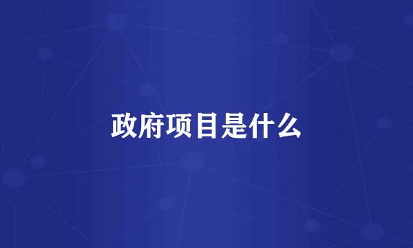 政府项目是什么