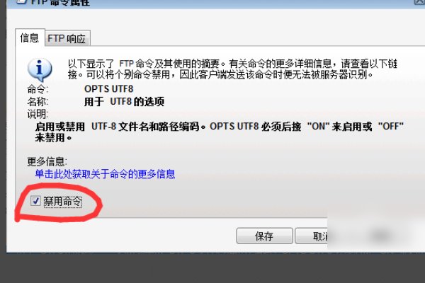 serv- u怎么设置才能打开文件