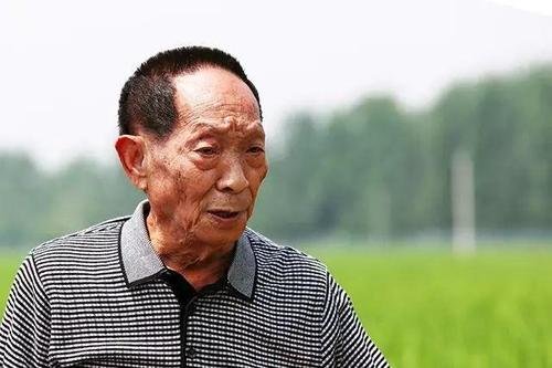 袁老与袁花花的初见视频曝光,袁花花到底是谁?