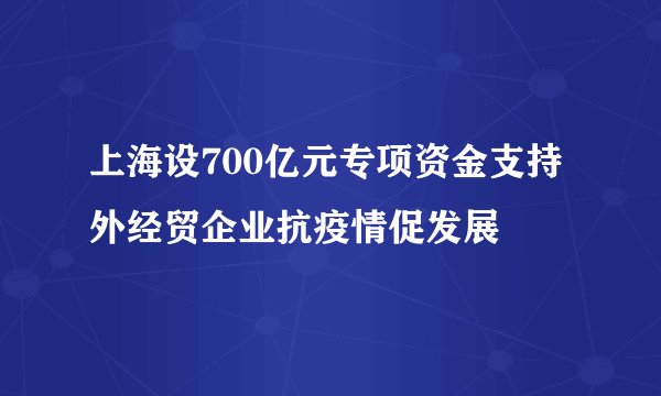上海设700亿元专项资金支持外经贸企业抗疫情促发展