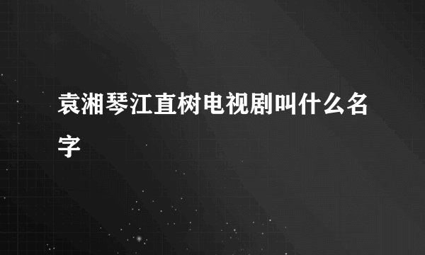 袁湘琴江直树电视剧叫什么名字