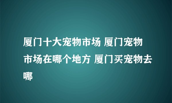 厦门十大宠物市场 厦门宠物市场在哪个地方 厦门买宠物去哪