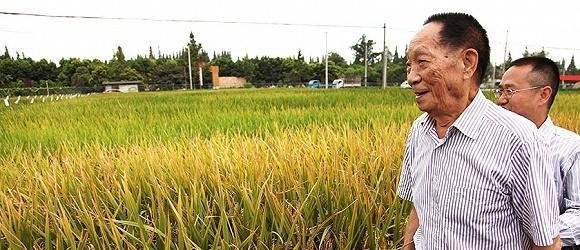 奉献一生只为改变现状“当代神农氏,袁隆平”