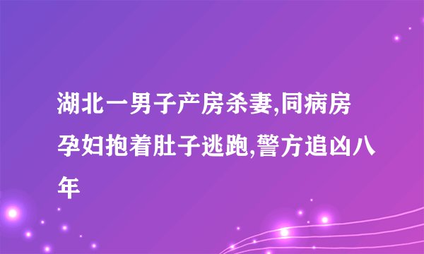 湖北一男子产房杀妻,同病房孕妇抱着肚子逃跑,警方追凶八年