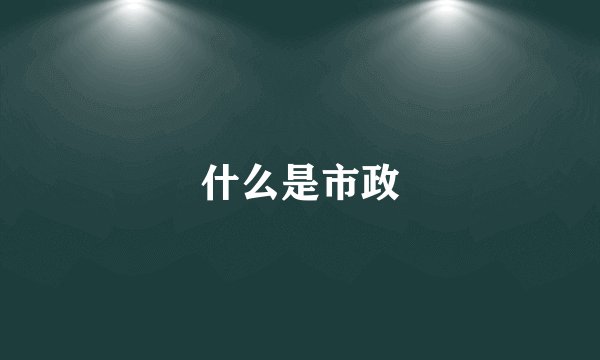 什么是市政