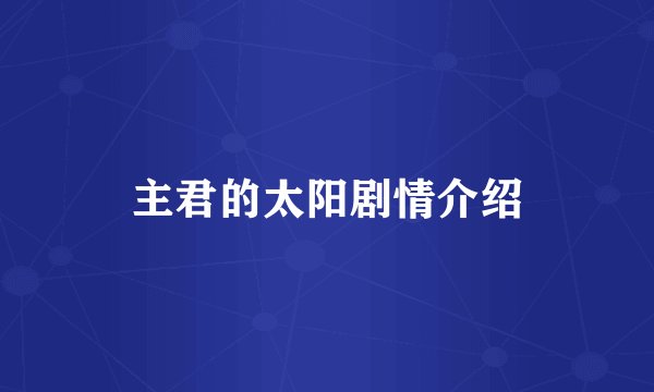 主君的太阳剧情介绍