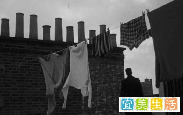 私藏清单!5 部小众犯罪片冷门但封神
