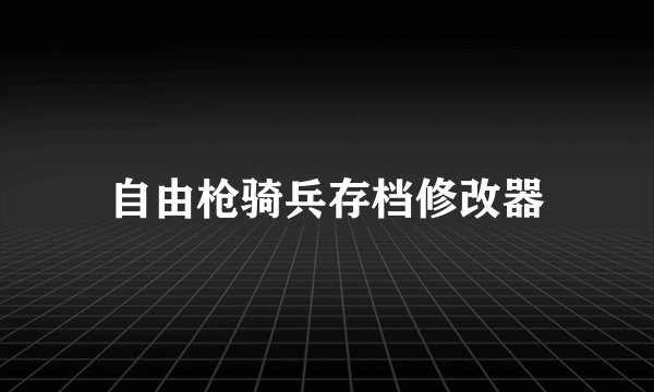 自由枪骑兵存档修改器