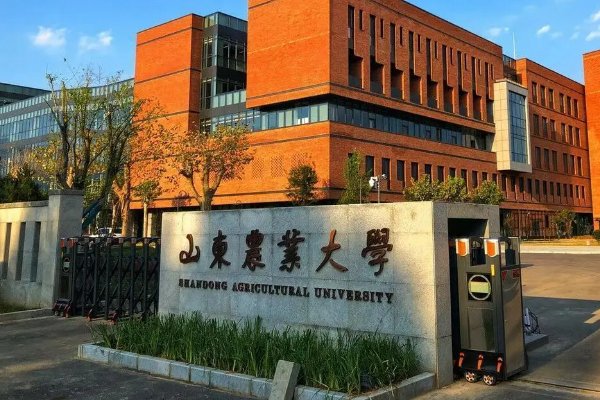 山东农业大学2022录取分数线