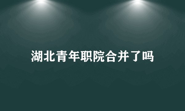湖北青年职院合并了吗