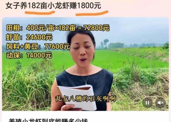 女子租182亩田养殖小龙虾共赚1800块，网友表示半信半疑！