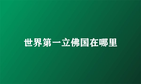 世界第一立佛国在哪里