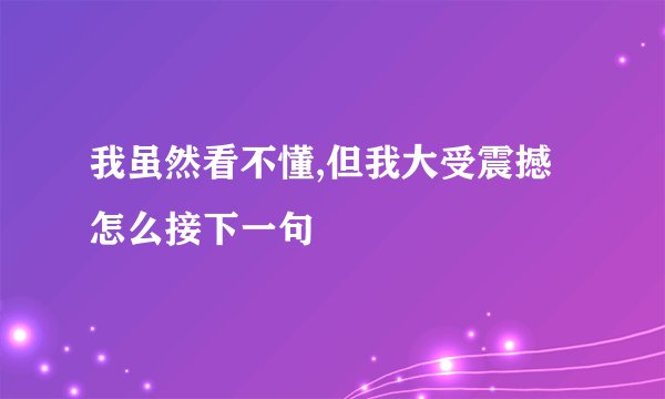 我虽然看不懂,但我大受震撼怎么接下一句