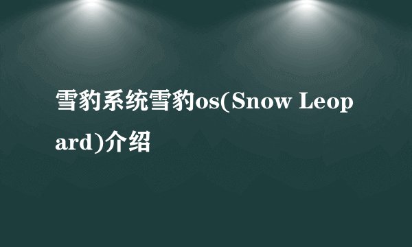 雪豹系统雪豹os(Snow Leopard)介绍