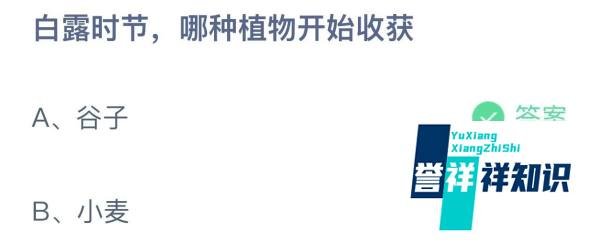 蚂蚁庄园今日正确答案9月8日（完整版）