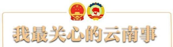 云南如何做好疫情“外防输入”“内防反弹”工作?代表、委员有话说……