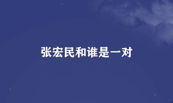 张宏民和谁是一对