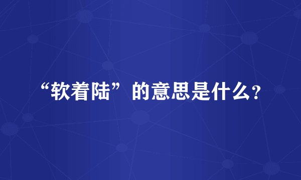 “软着陆”的意思是什么？