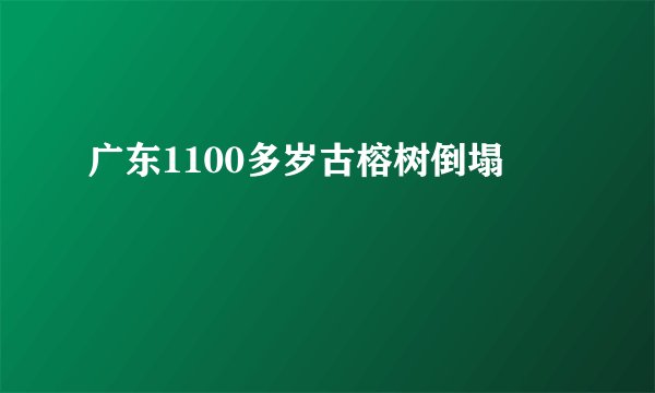 广东1100多岁古榕树倒塌