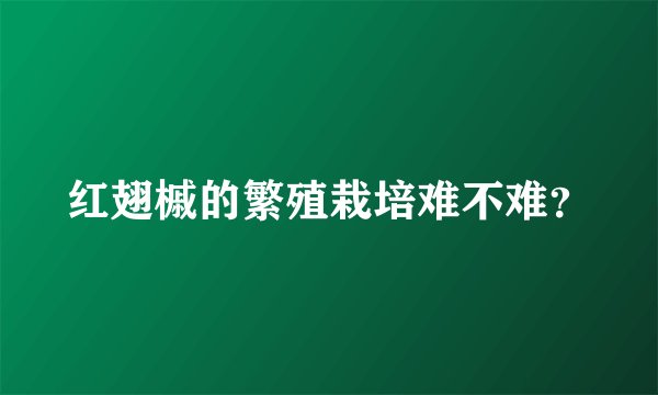 红翅槭的繁殖栽培难不难？