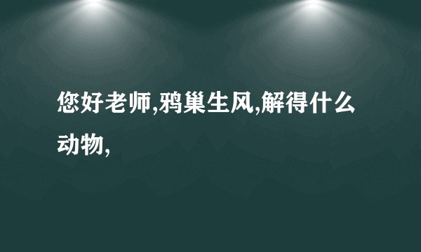 您好老师,鸦巢生风,解得什么动物,