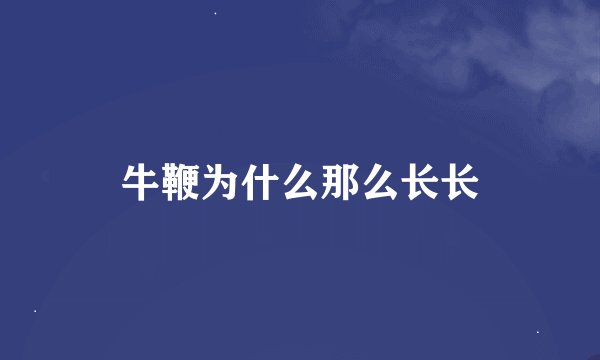 牛鞭为什么那么长长