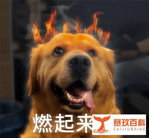 18人非法集资1395亿,我在冥币上都没看过这么多钱。。。