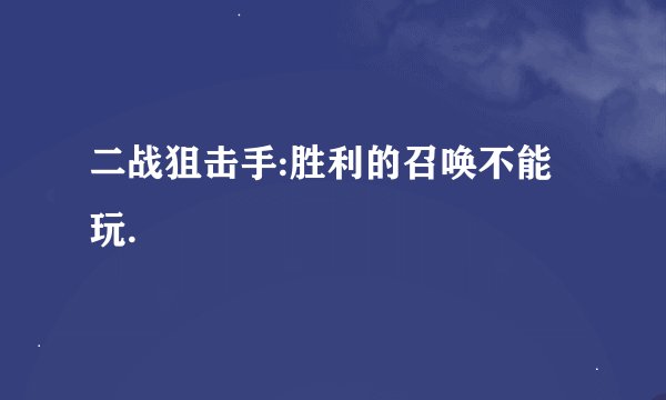 二战狙击手:胜利的召唤不能玩.