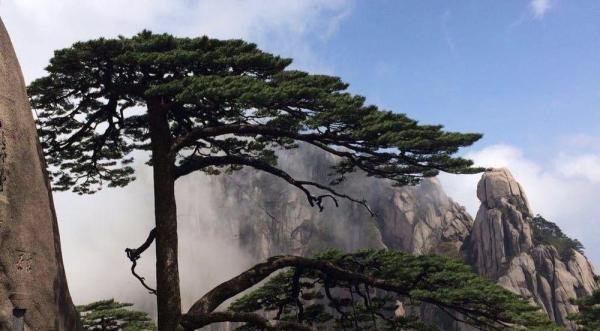 北京到黄山旅游攻略
