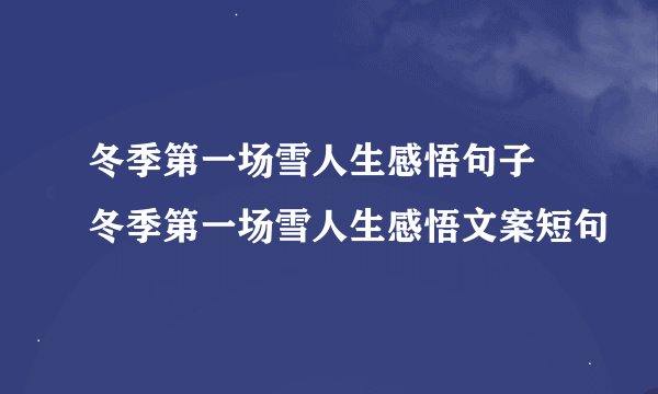 冬季第一场雪人生感悟句子 冬季第一场雪人生感悟文案短句
