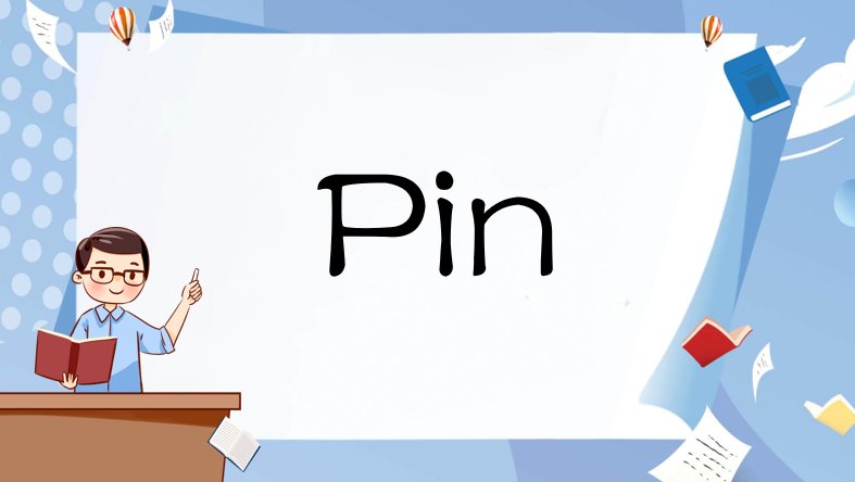 pin什么意思