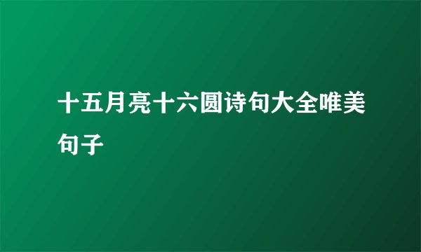 十五月亮十六圆诗句大全唯美句子