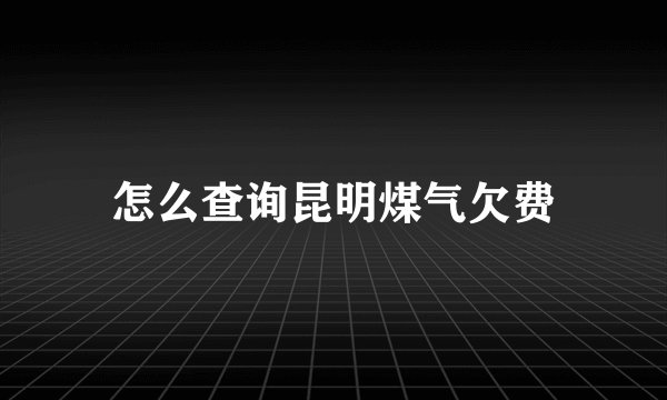 怎么查询昆明煤气欠费