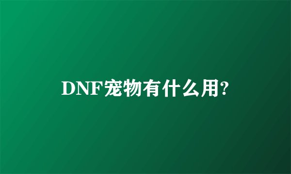 DNF宠物有什么用?