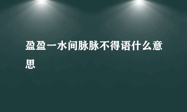 盈盈一水间脉脉不得语什么意思