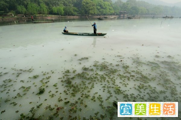 塑料袋和纸袋哪个更环保？