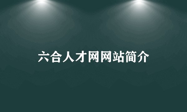 六合人才网网站简介