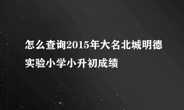 怎么查询2015年大名北城明德实验小学小升初成绩