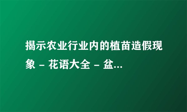 揭示农业行业内的植苗造假现象 - 花语大全 - 盆栽百科网