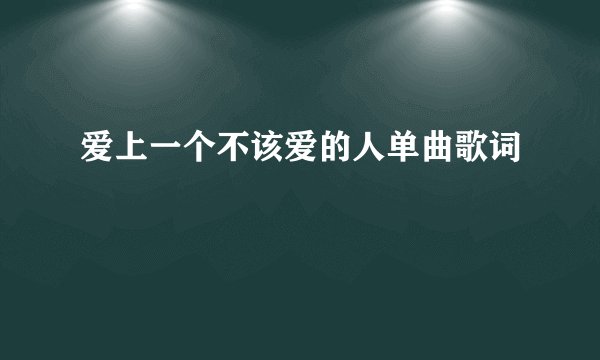 爱上一个不该爱的人单曲歌词