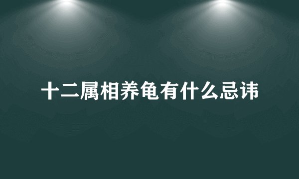 十二属相养龟有什么忌讳