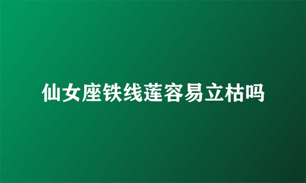 仙女座铁线莲容易立枯吗