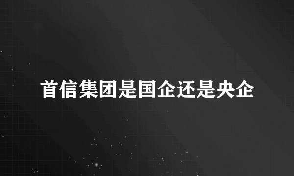 首信集团是国企还是央企