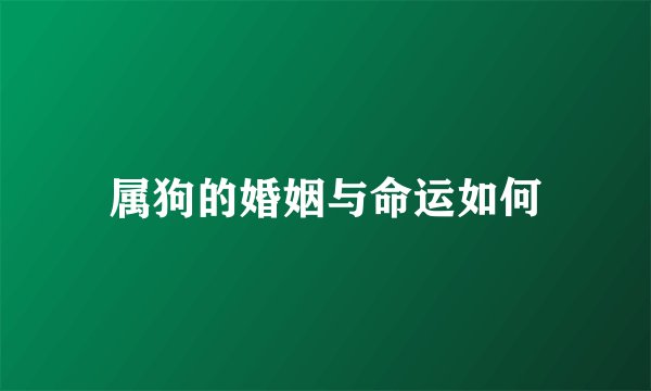 属狗的婚姻与命运如何