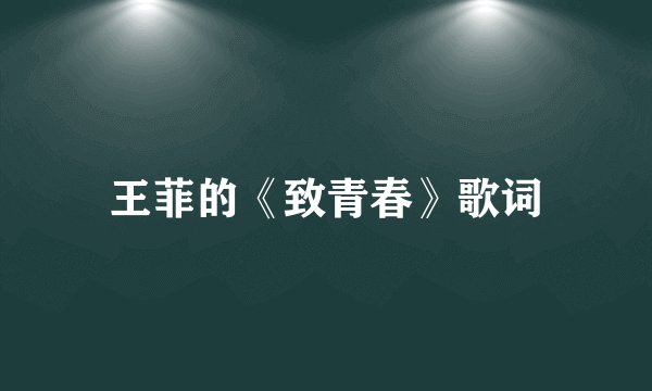 王菲的《致青春》歌词