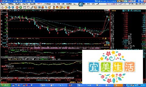 宁波涨停板敢死队是怎么回事情