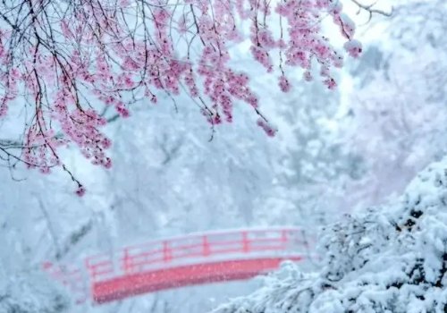 北京出现四月飘雪,一夜穿回冬天,四月飘雪有什么寓意征兆?