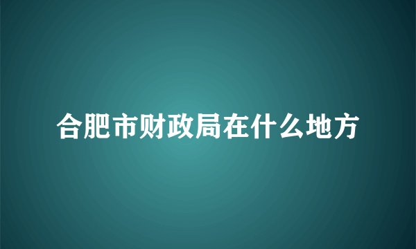 合肥市财政局在什么地方