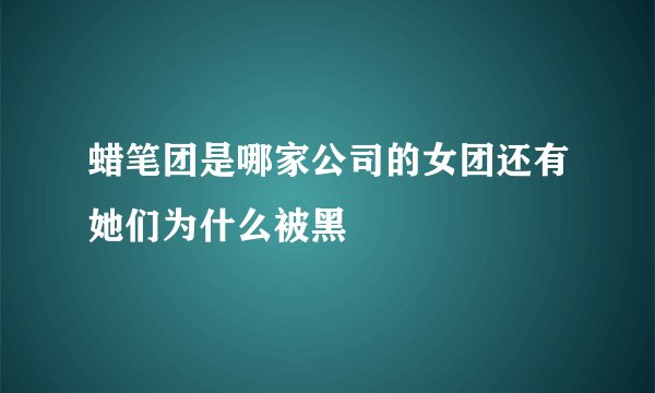 蜡笔团是哪家公司的女团还有她们为什么被黑