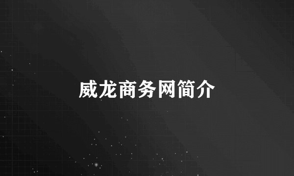 威龙商务网简介